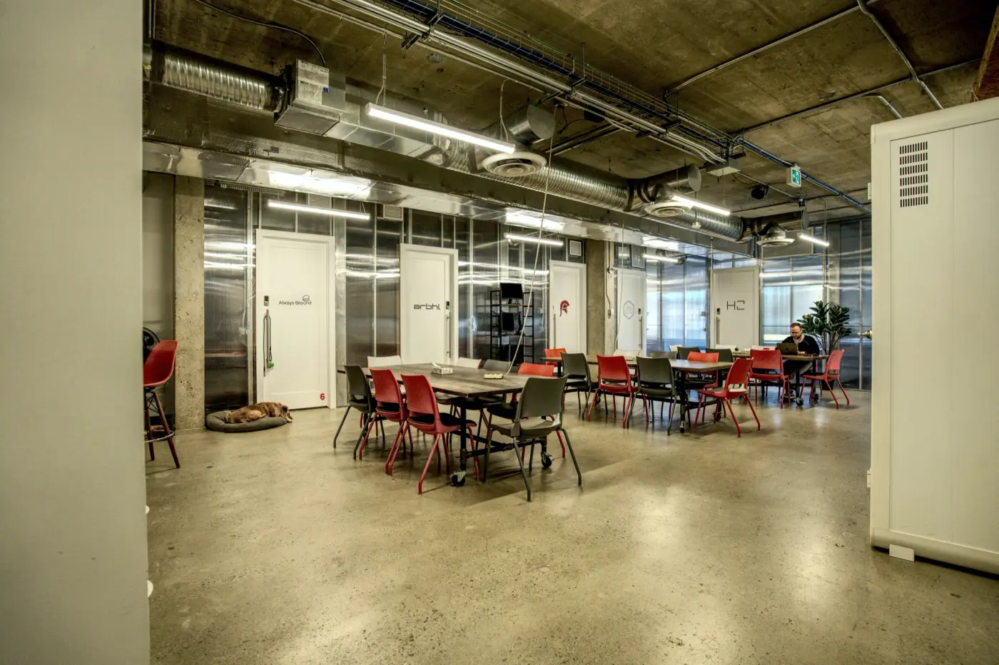 Tables at the quieter end of Red Mile, with a dog bed near the door